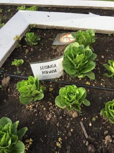 Vegan farming for everyone.