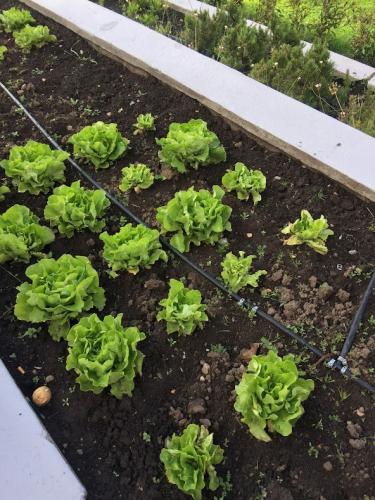 Vegan farming for everyone.