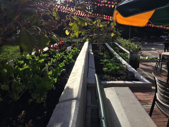 Vegan farming for everyone.