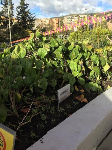 Vegan farming for everyone.