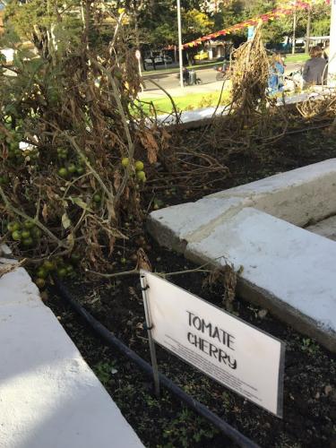 Vegan farming for everyone.