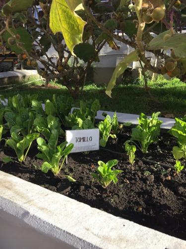 Vegan farming for everyone.