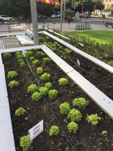 Vegan farming for everyone.