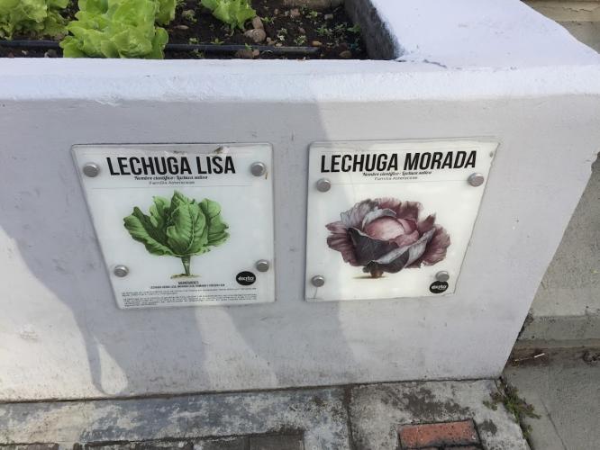 Vegan farming for everyone.