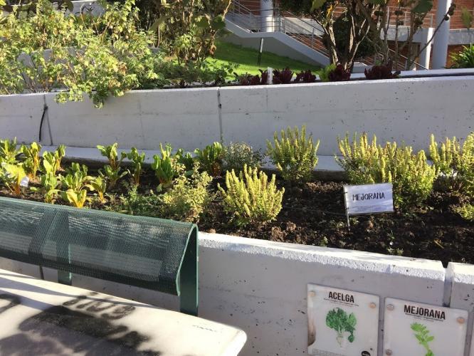 Vegan farming for everyone.