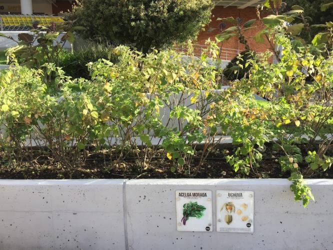 Vegan farming for everyone.