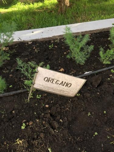 Vegan farming for everyone.