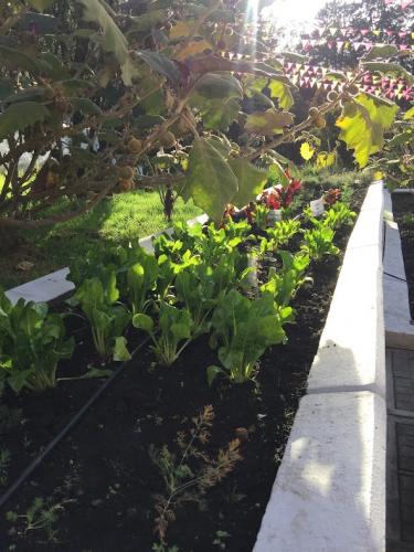 Vegan farming for everyone.