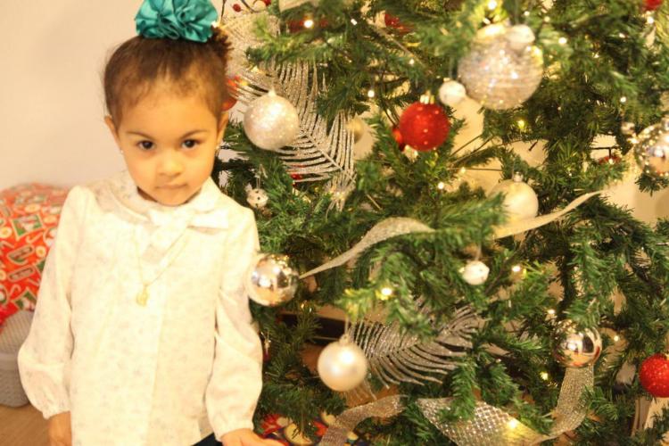 Como celebra la navidad tu familia? 