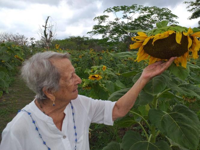Gira entre Soles "La Ruta del Girasol "  Colombia 