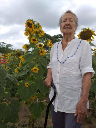 Gira entre Soles "La Ruta del Girasol "  Colombia 