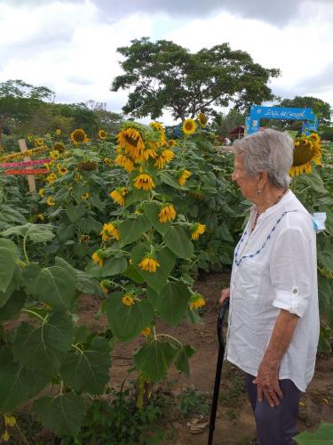 Gira entre Soles "La Ruta del Girasol "  Colombia 