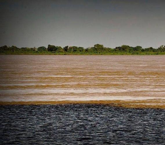 Su Piso es el Mundo y lo mueven a su antojo.