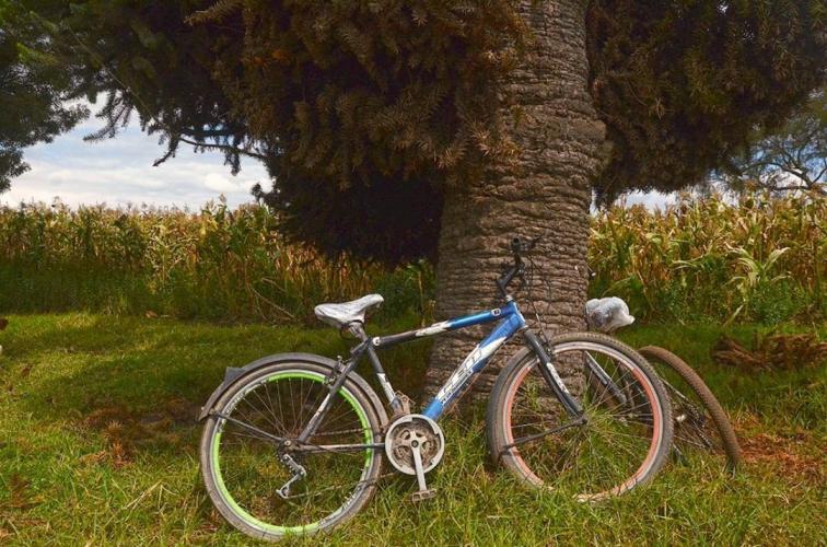 From everyday to extraordinary... 