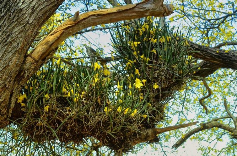 Un escenario bellísimo 