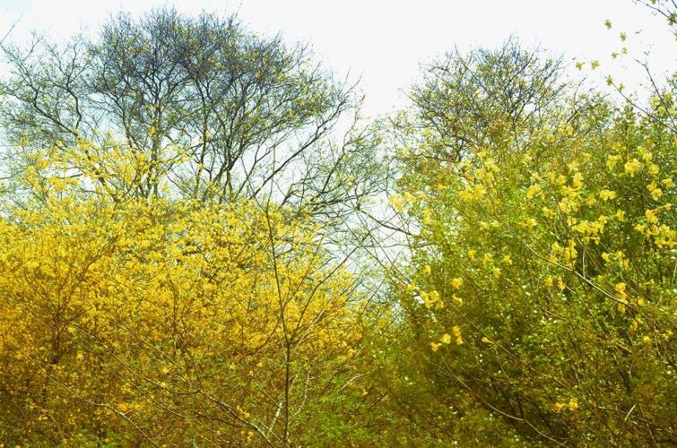 Un escenario bellísimo 