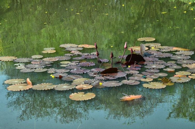 Un escenario bellísimo 