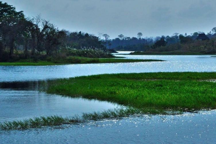 Dolce Vita Isla -Panama 