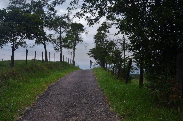 Piedemonte Llanero -Colombia 