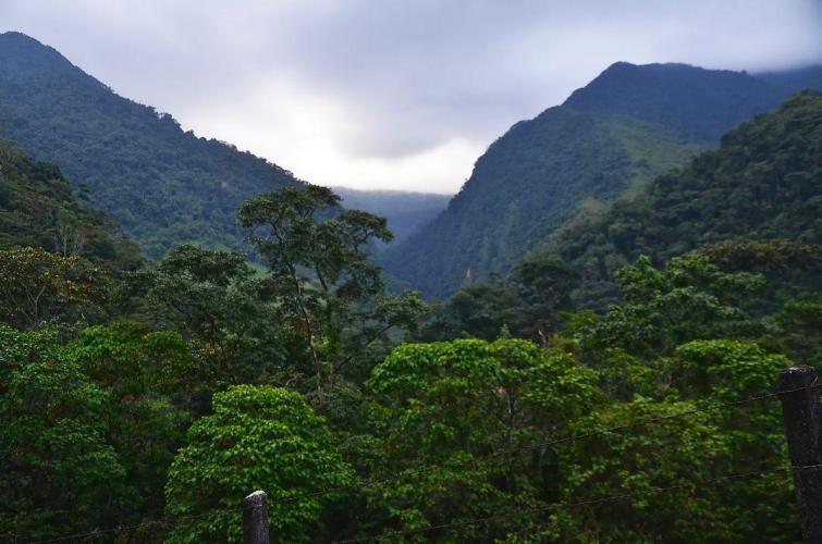 Piedemonte Llanero : Un paraíso para cualquier fotógrafo