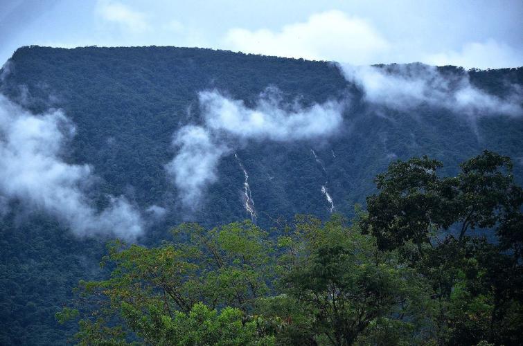 Piedemonte Llanero : Un paraíso para cualquier fotógrafo
