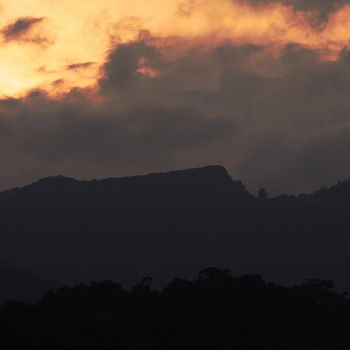 Piedemonte Llanero : Un paraíso para cualquier fotógrafo