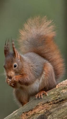 Fotto's uit de oude doos