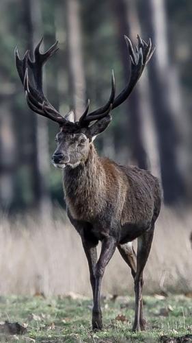 Fotto's uit de oude doos