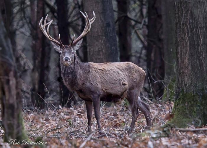 Fotto's uit de oude doos