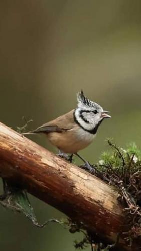 Fotto's uit de oude doos