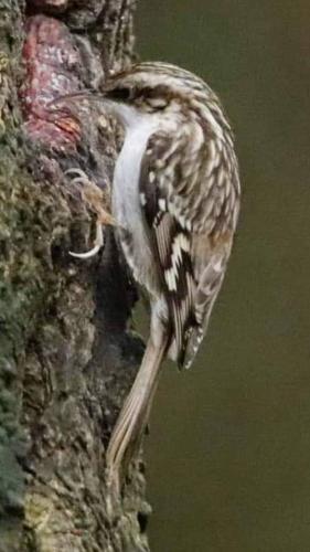 Fotto's uit de oude doos