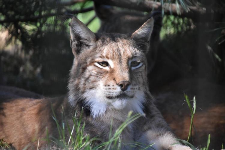 1 dag ontspanning( stres wat gebeurt er met mijn meisje ) 😭😭 