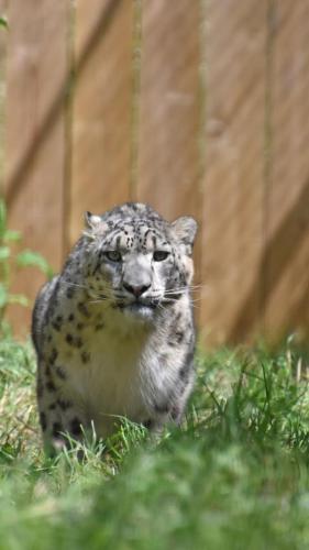 1 dag ontspanning( stres wat gebeurt er met mijn meisje ) 😭😭 