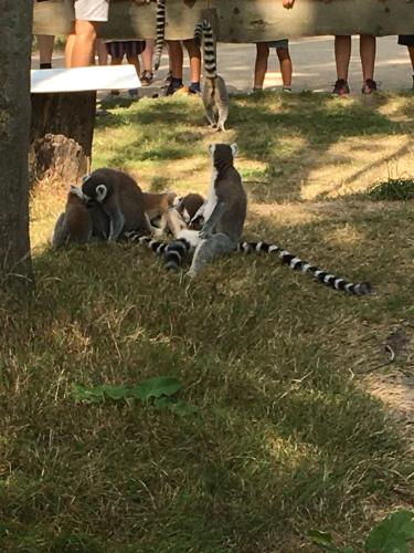 1 dag ontspanning( stres wat gebeurt er met mijn meisje ) 😭😭 