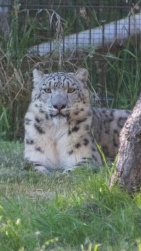 1 dag ontspanning( stres wat gebeurt er met mijn meisje ) 😭😭 