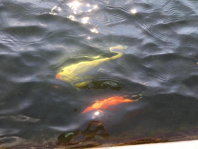 1 dag ontspanning( stres wat gebeurt er met mijn meisje ) 😭😭 