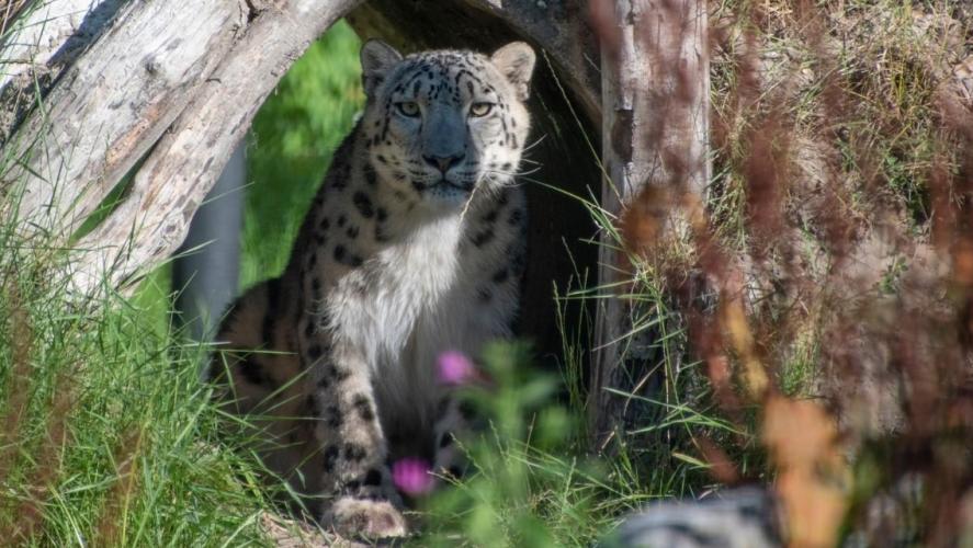 1 dag ontspanning( stres wat gebeurt er met mijn meisje ) 😭😭 