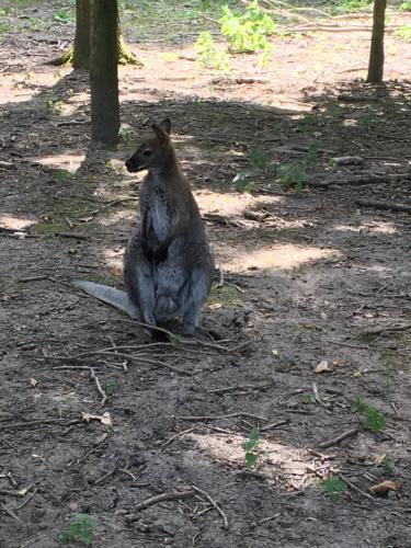 1 dag ontspanning( stres wat gebeurt er met mijn meisje ) 😭😭 