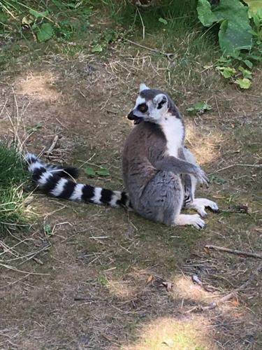 1 dag ontspanning( stres wat gebeurt er met mijn meisje ) 😭😭 