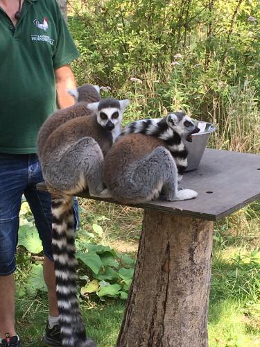 1 dag ontspanning( stres wat gebeurt er met mijn meisje ) 😭😭 