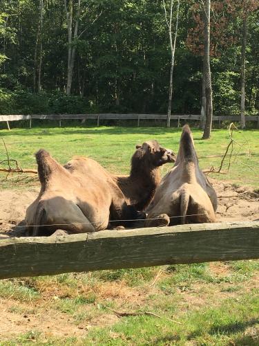 1 dag ontspanning( stres wat gebeurt er met mijn meisje ) 😭😭 