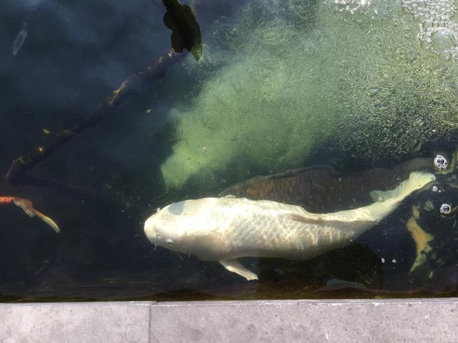 1 dag ontspanning( stres wat gebeurt er met mijn meisje ) 😭😭 