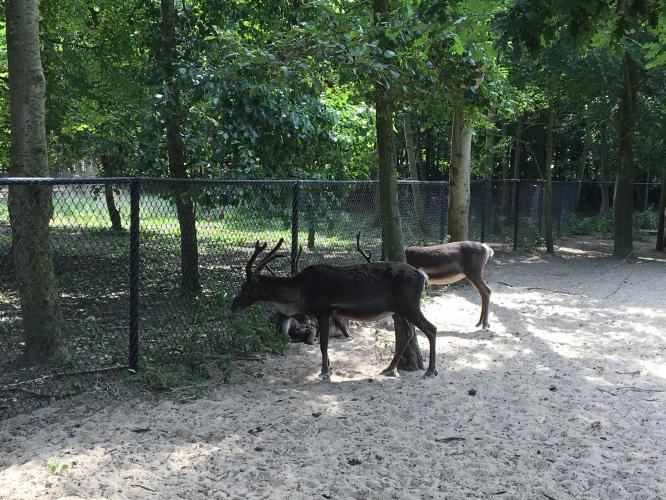 1 dag ontspanning( stres wat gebeurt er met mijn meisje ) 😭😭 