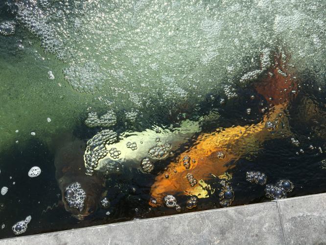 1 dag ontspanning( stres wat gebeurt er met mijn meisje ) 😭😭 