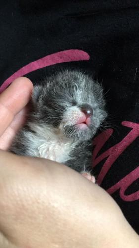 Van klein naar groot 