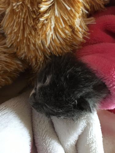 Van klein naar groot 