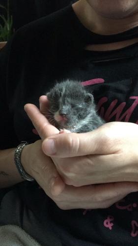 Van klein naar groot 