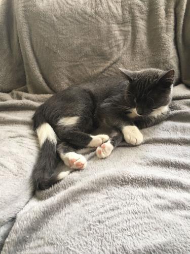 Van klein naar groot 