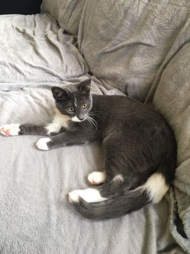 Van klein naar groot 