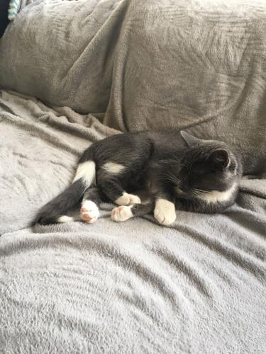 Van klein naar groot 